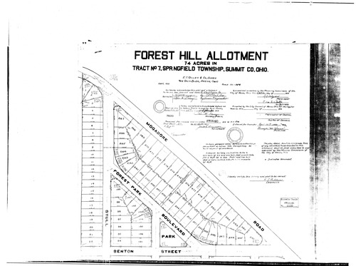 Forest hill allotment 0001