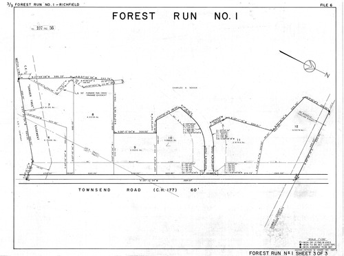 Forest run no 1 0003