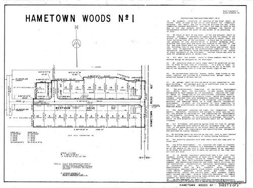 Hametown woods no 1 002