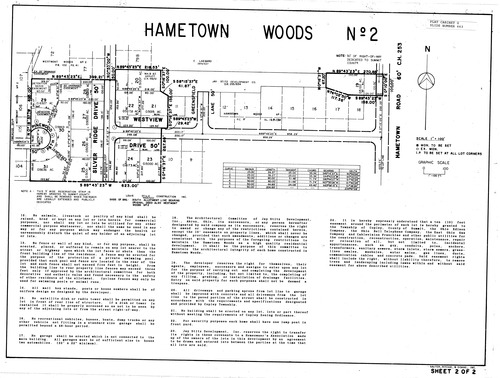 Hametown woods no 2 002