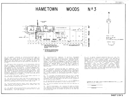Hametown woods no 3 002