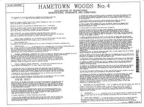 Hametown woods no 4 003