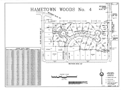 Hametown woods no 4 002