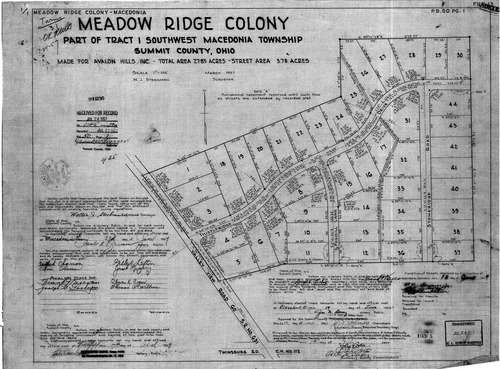 Meadow ridge colony 0001