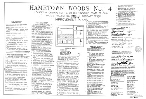 Hametown woods iv 0001