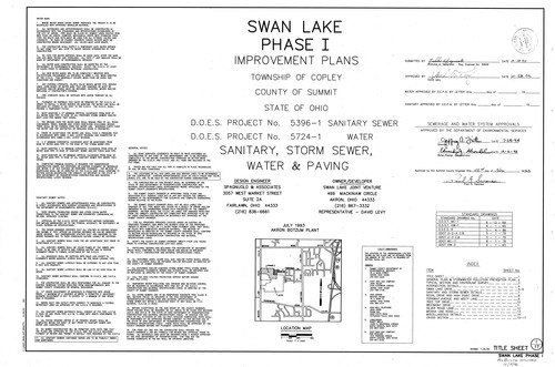 Swan lake i 0001