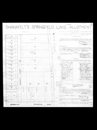 Shanafelts springfield lake